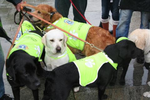 Historien om førerhunden i Norge