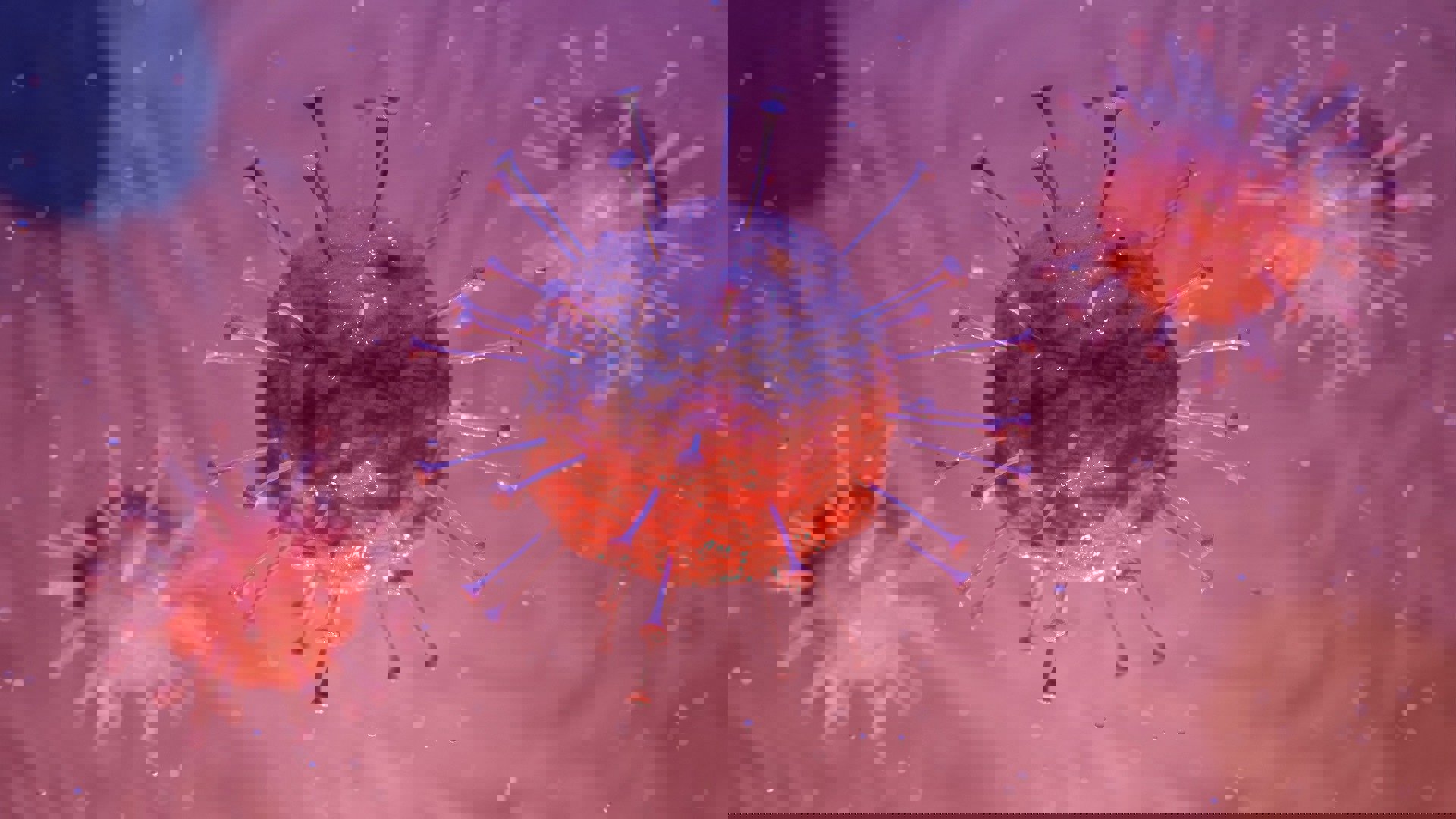 Lions Røde Fjær 2020 og koronasituasjonen